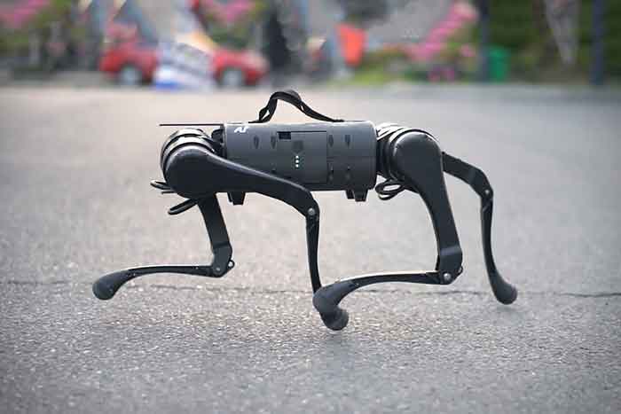 A1 Unitree robotic canine