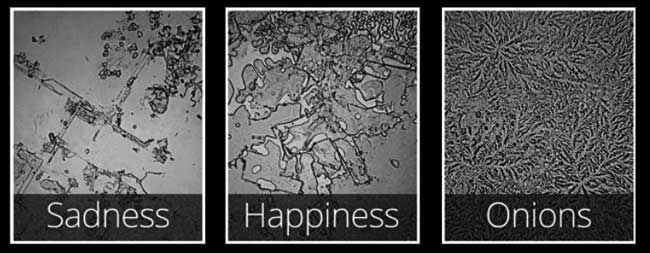 Different kinds of tears under microscope