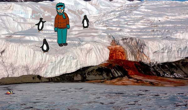 Tourist standing among penguins at the Blood Falls in Antarctica