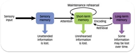 Revision memory model