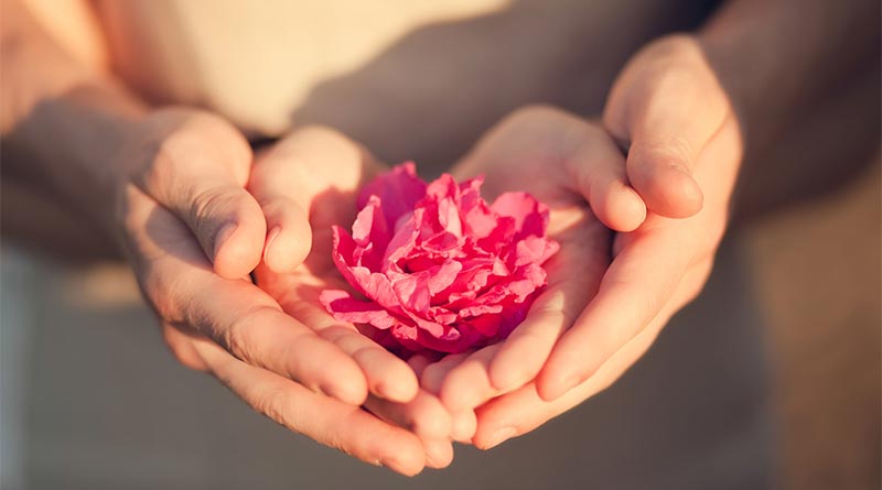 Two pairs of hands holding a pink flower together