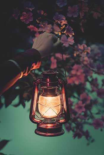Hand holding lamp near flowers