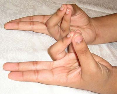 Hands showing the prana mudra gesture