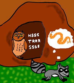 Illustration of a burrowing owl scaring away a raccoon