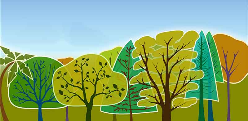 Illustration of a row of trees