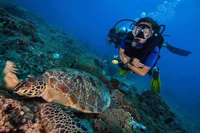 Marine biologist conducting studies underwater