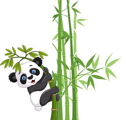 Illustration of panda holding onto bamboo plant