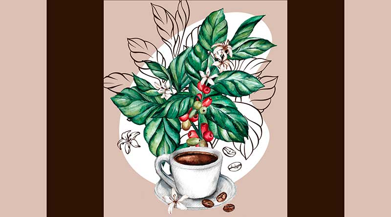 Watercolor illustration of coffee cup and coffee plant