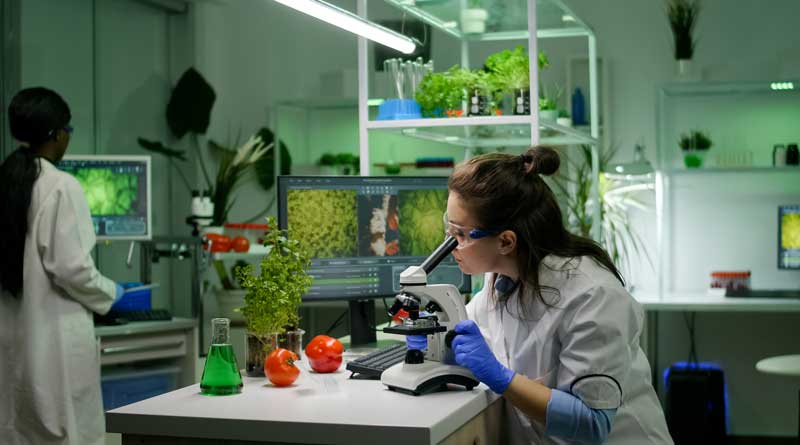 Female researcher in a biotechnology laboratory