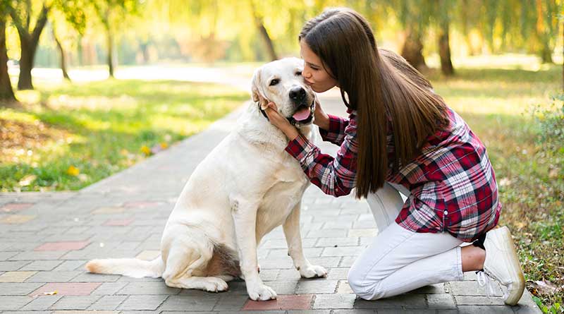 Young woman kissing a labrador in a park